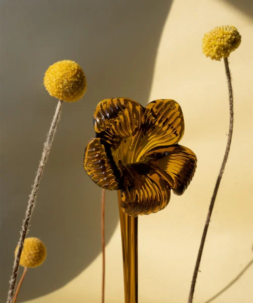 Alternative view of Apagavelas Ambar