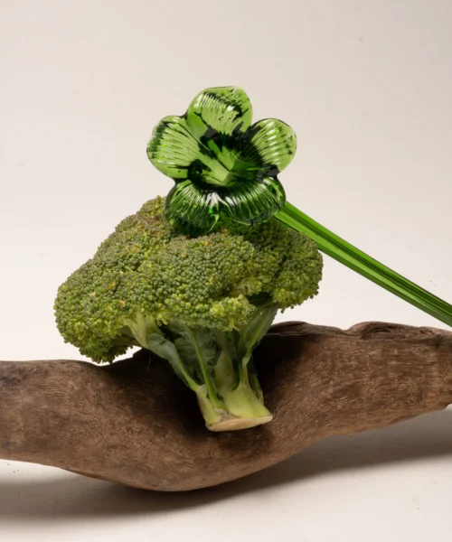 Alternative view of Apagavelas Esmeralda