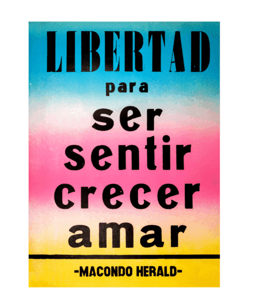 Afiche Libertad
