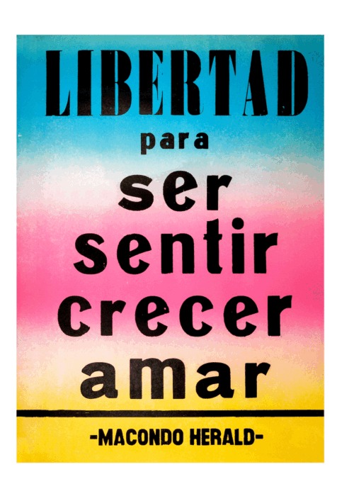 Afiche Libertad