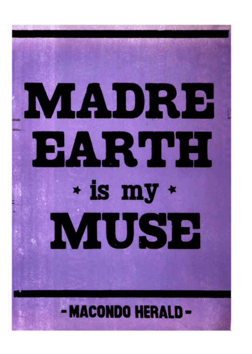 Afiche Madre Earth
