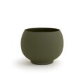 BowlDovioVerde