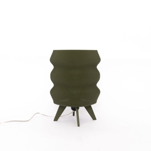Fung_01_M_01