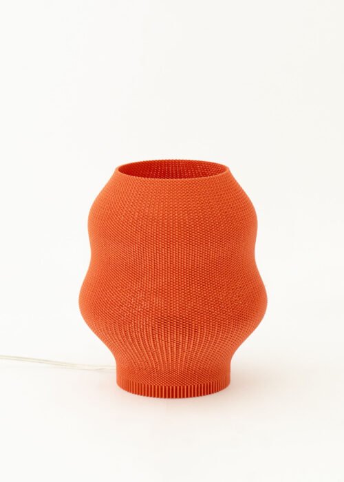 Alternative view of Fung_02