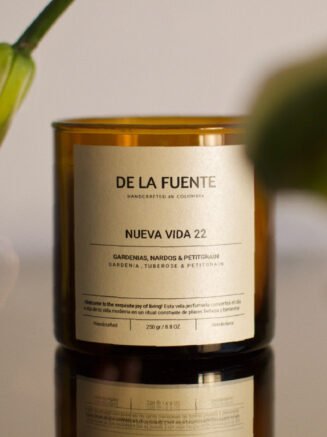 Nueva Vida 22