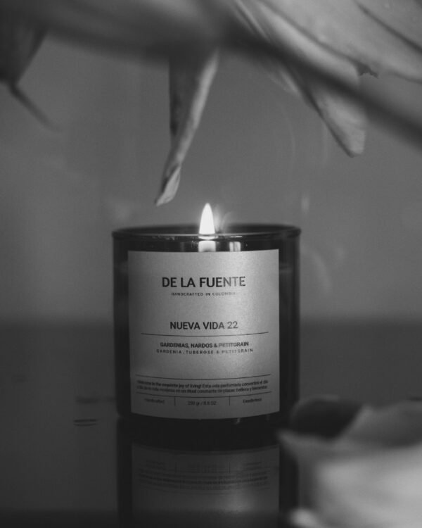 de-la-fuente-brand-velas-perfumadas-nueva-vida-3