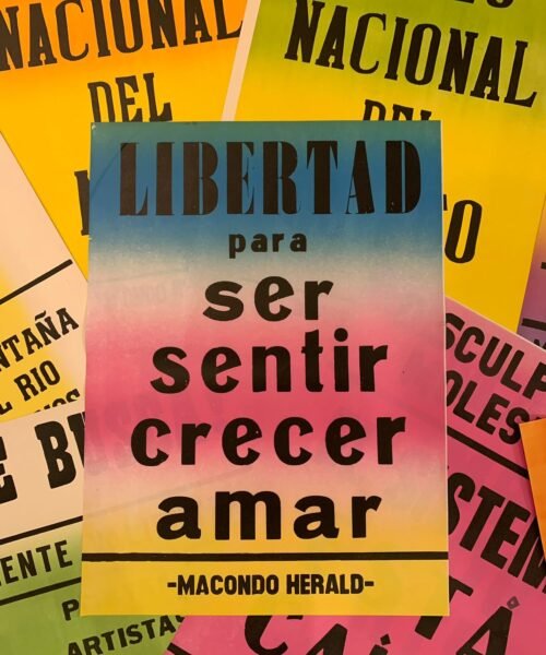 Alternative view of Afiche Libertad