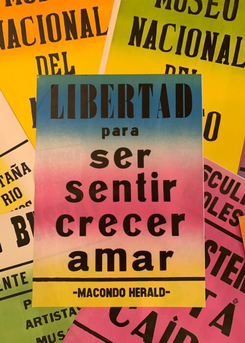 Alternative view of Afiche Libertad