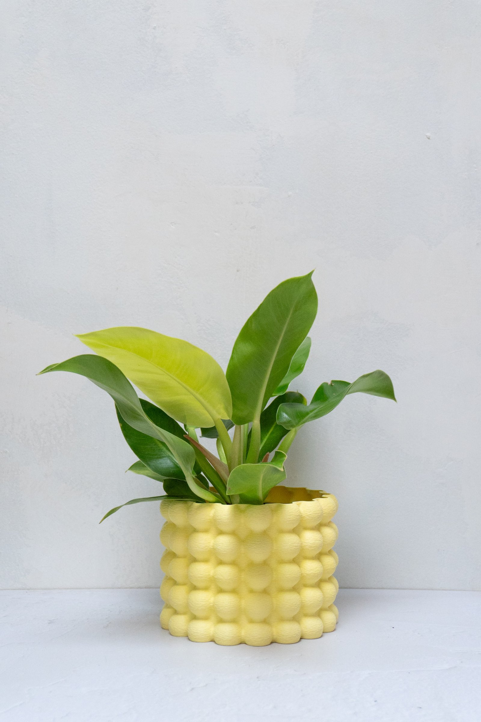 Matera Mora - Imagen 5