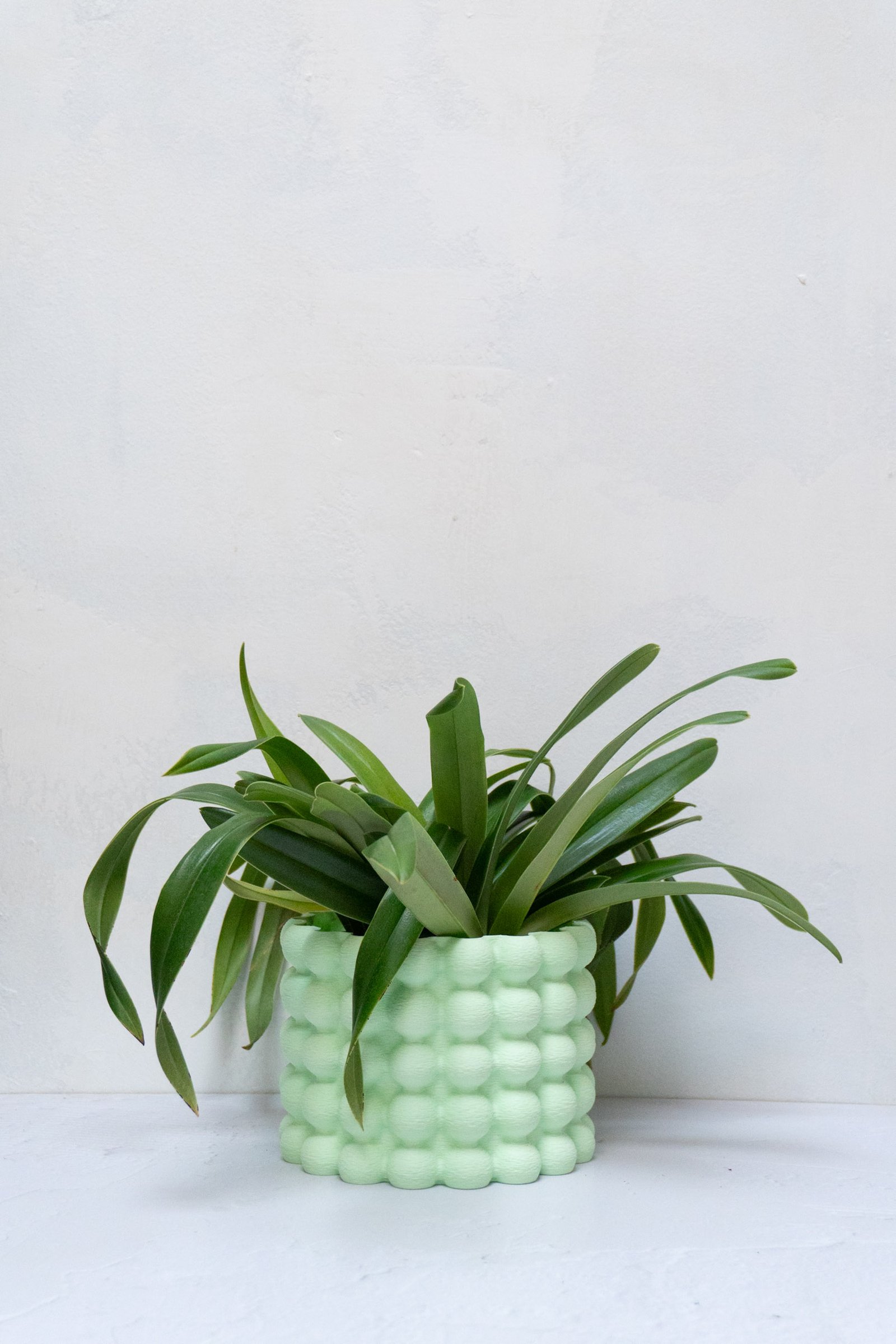 Matera Mora - Imagen 4