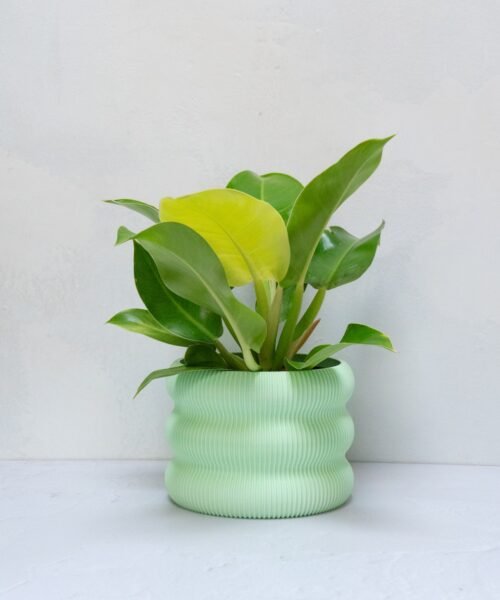 Alternative view of Matera Wavy