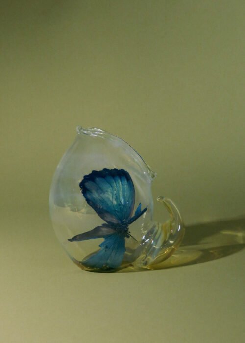 Alternative view of Vaso Concha set x4