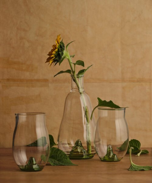 Alternative view of Jarra Páramo