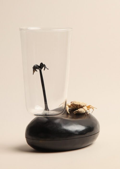 Alternative view of Vaso Palmera set x4