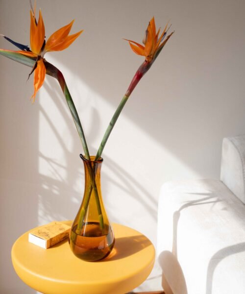 Alternative view of Jarra Ambar