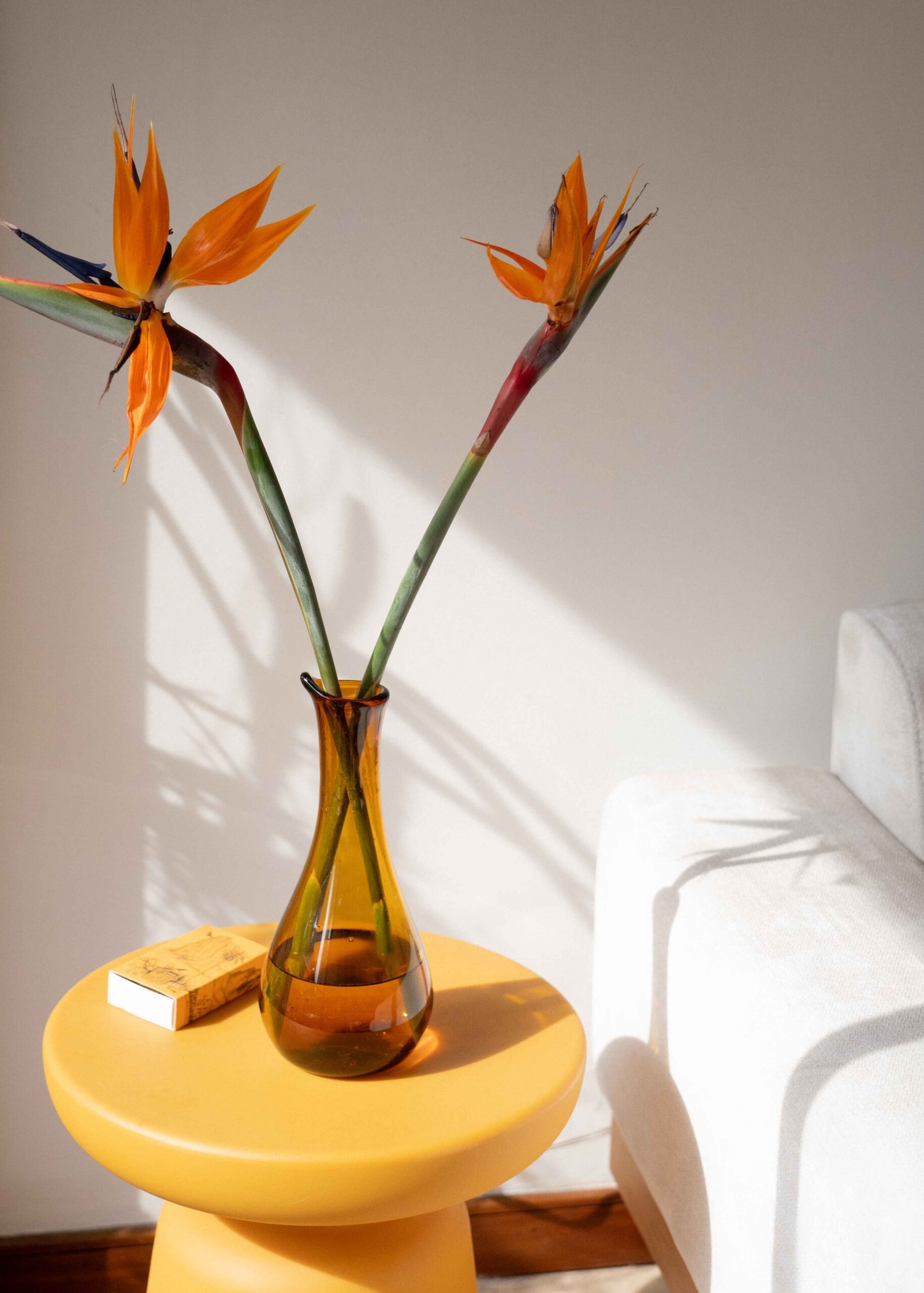 Jarra Ambar - Imagen 2