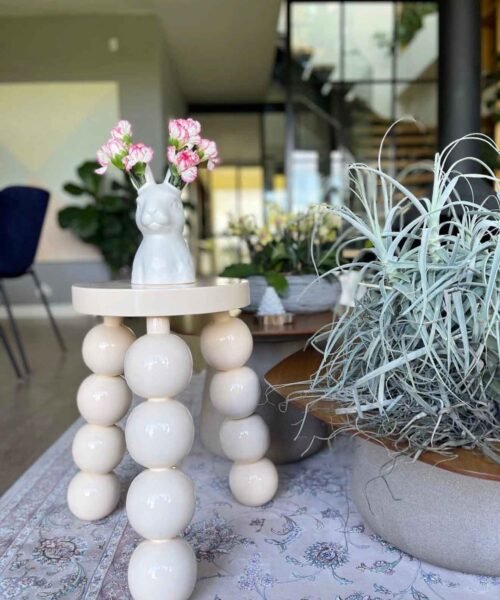 Alternative view of Mesa Orbis