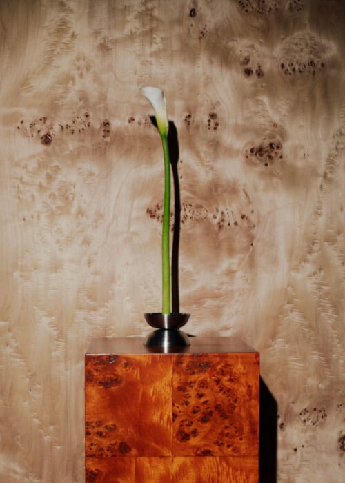 Alternative view of Florero Solitario