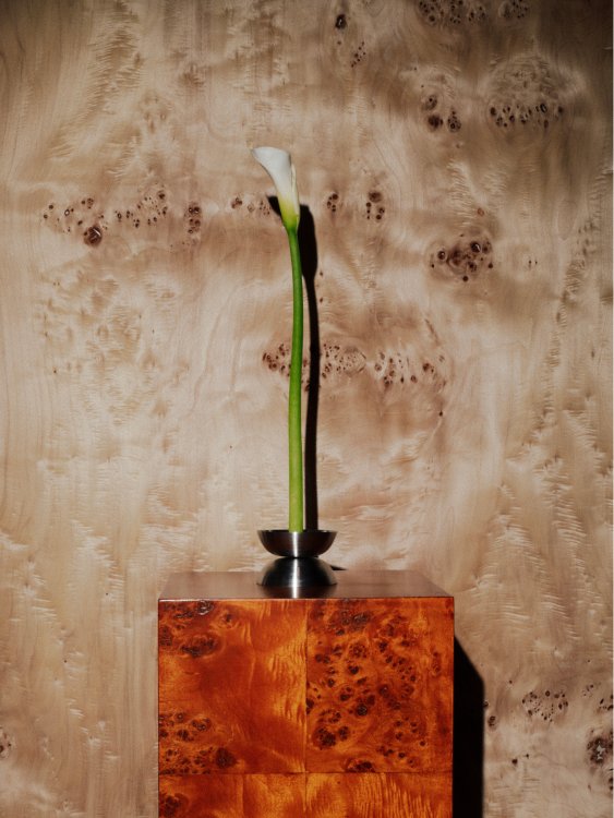 Solitario - Imagen 3