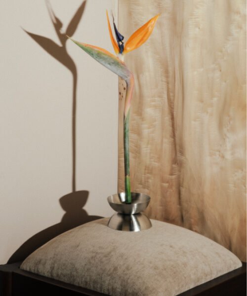 Alternative view of Solitario