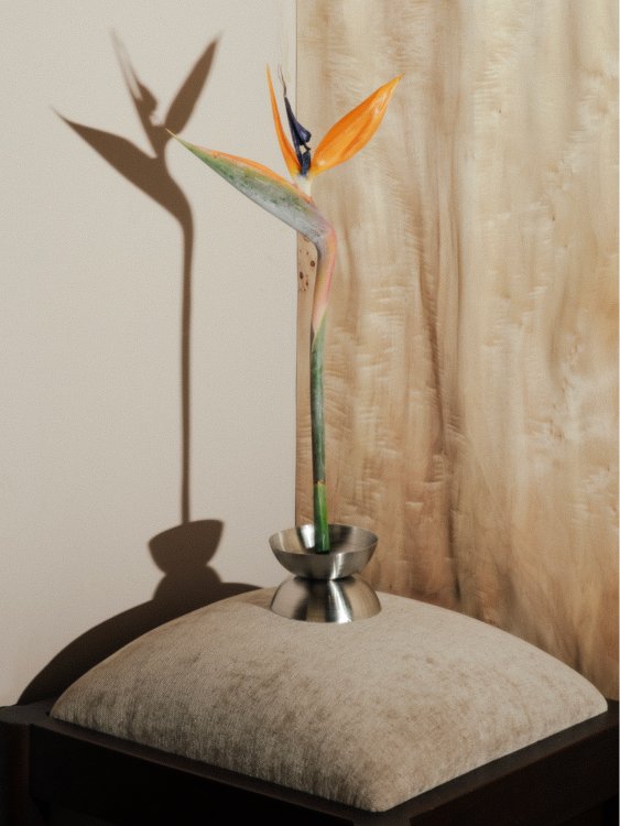 Solitario - Imagen 2