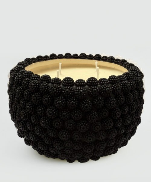 Alternative view of Urchin L