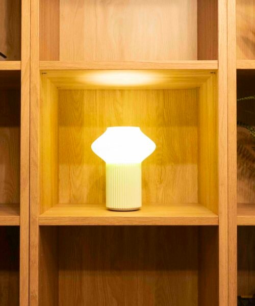 Alternative view of Fung_Mini