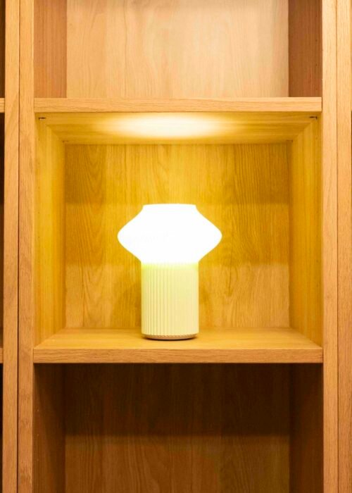 Alternative view of Fung_Mini