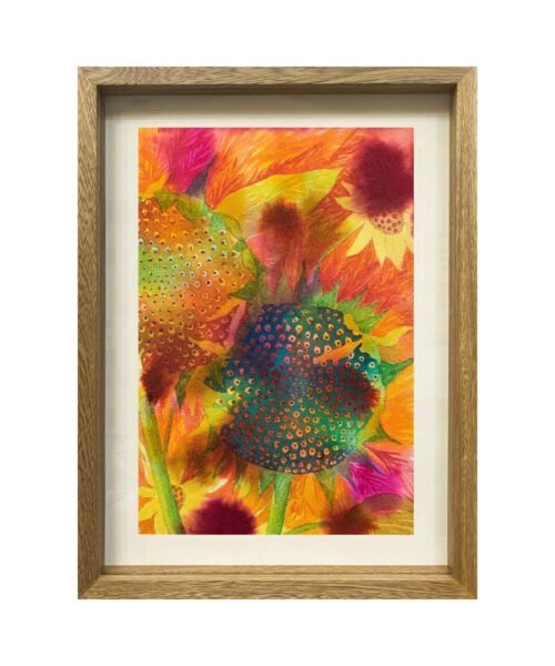 LA VISIÓN DEL ANIMAL / Tahuanty Jacanamijoy