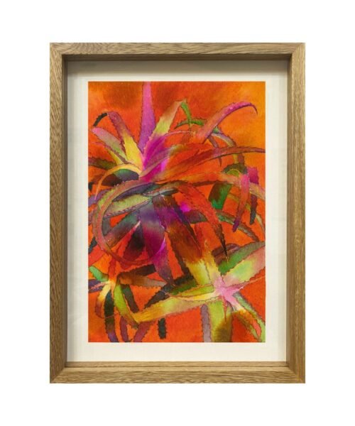 LOS RAYOS / Tahuanty jacanamijoy